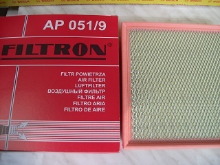 Фильтр воздушный (FILTRON AP051/06)